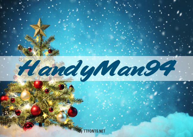 HandyMan94 example