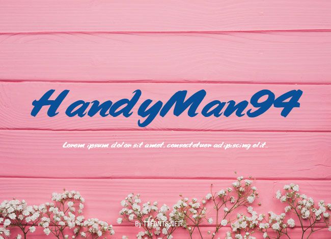 HandyMan94 example