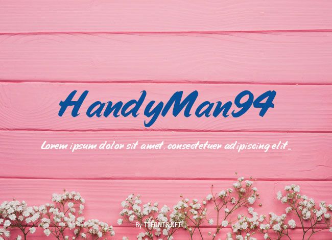 HandyMan94 example