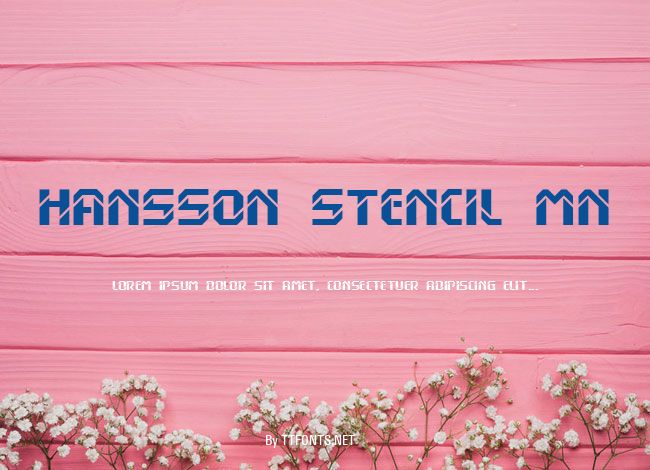 Hansson Stencil MN example