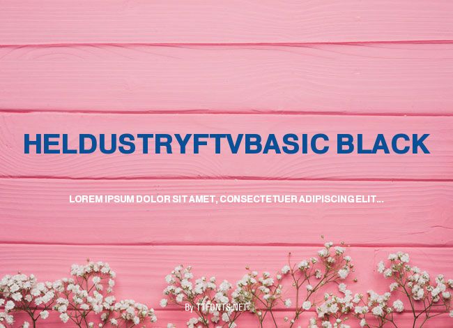 HeldustryFTVBasic Black example