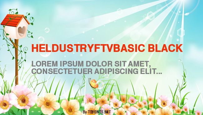 HeldustryFTVBasic Black example