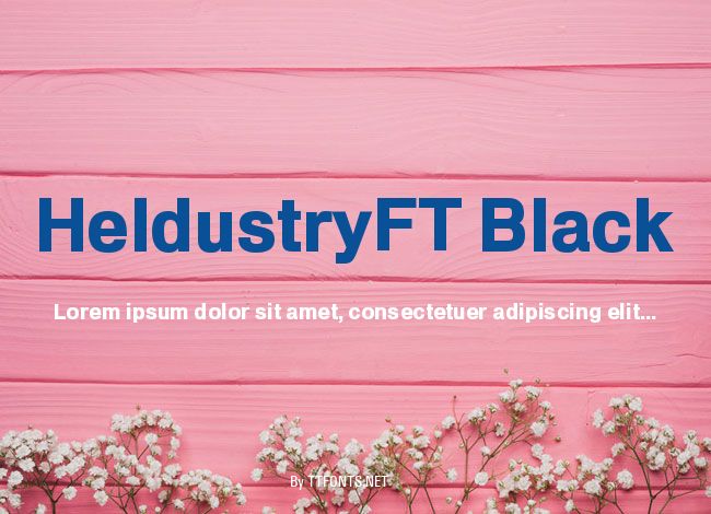 HeldustryFT Black example