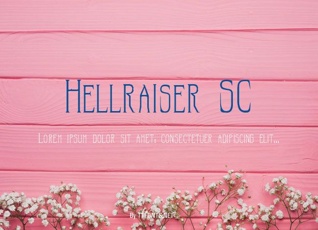 Hellraiser SC example