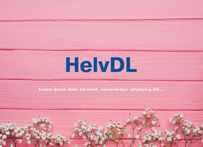 HelvDL example