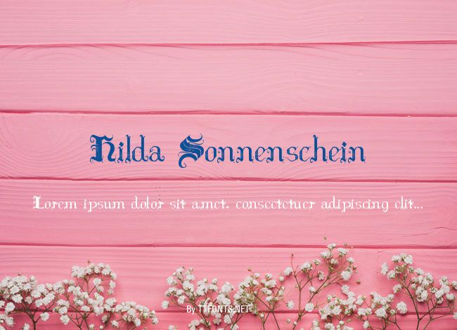 Hilda Sonnenschein example
