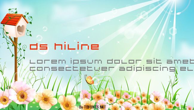 DS Hiline example