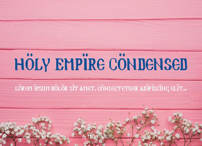 Holy Empire Condensed example