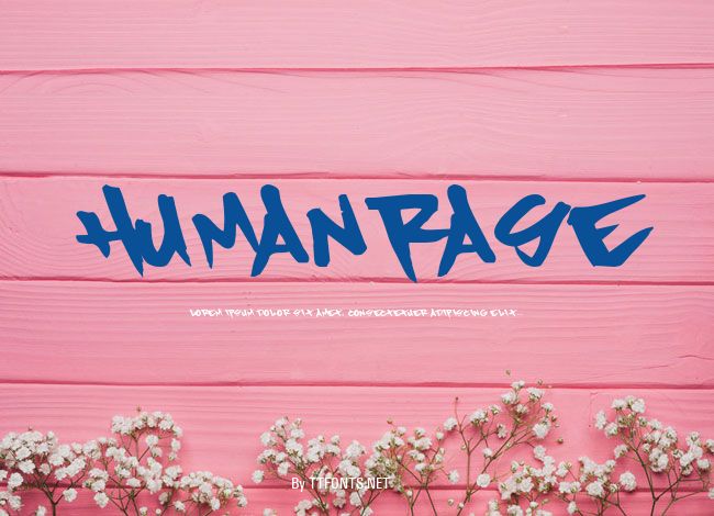 HumanRase example