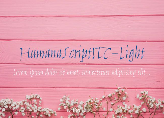 HumanaScriptITC-Light example