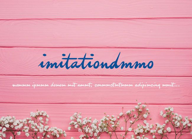 imitationDemo example