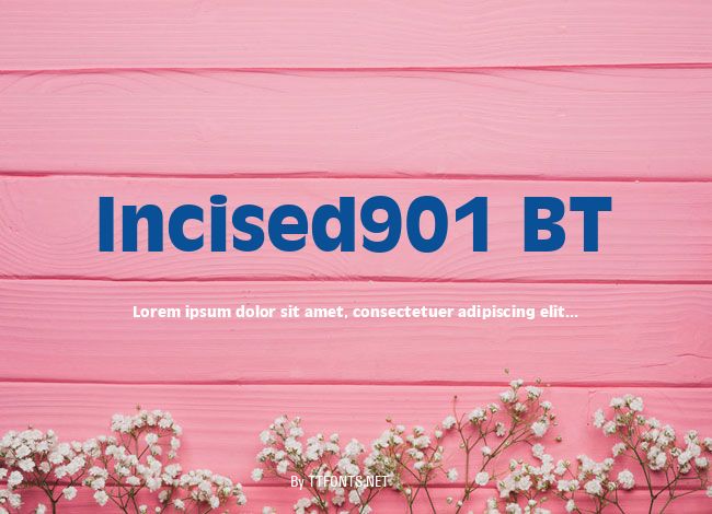 Incised901 BT example