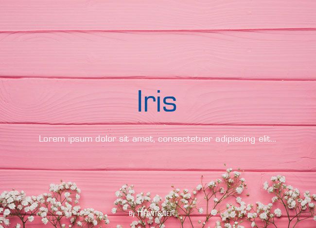 Iris example