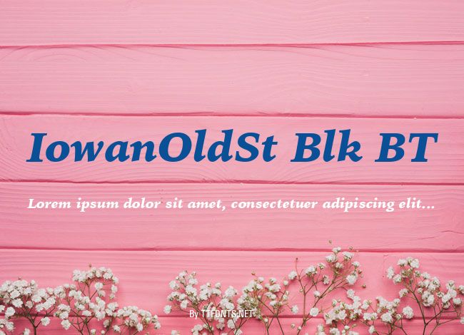 IowanOldSt Blk BT example