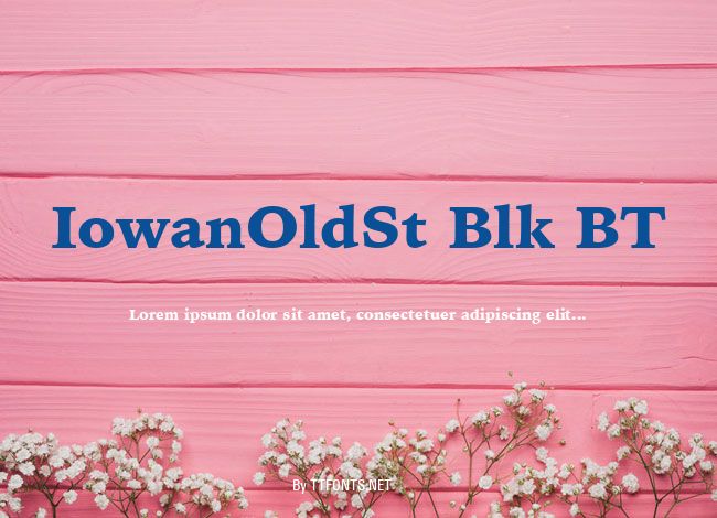 IowanOldSt Blk BT example