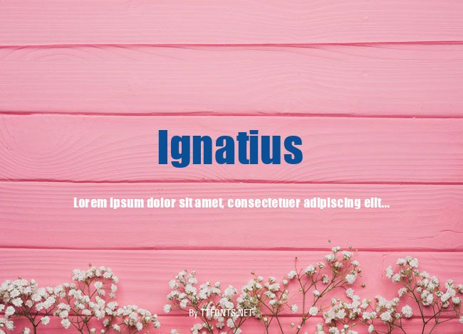Ignatius example