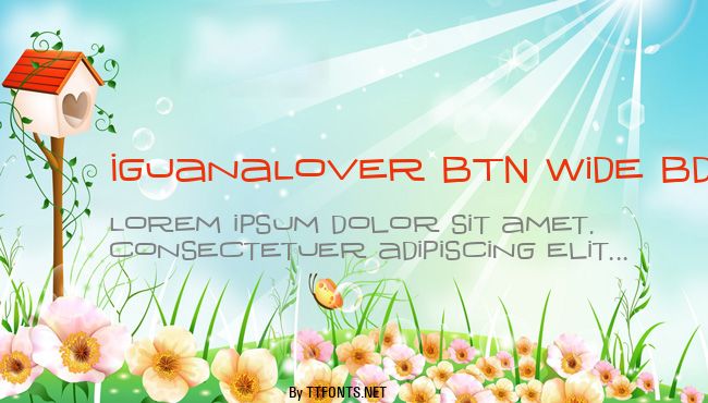 IguanaLover BTN Wide Bd example