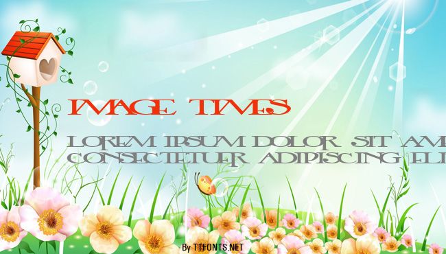 Image Times example