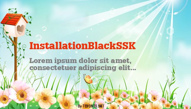InstallationBlackSSK example
