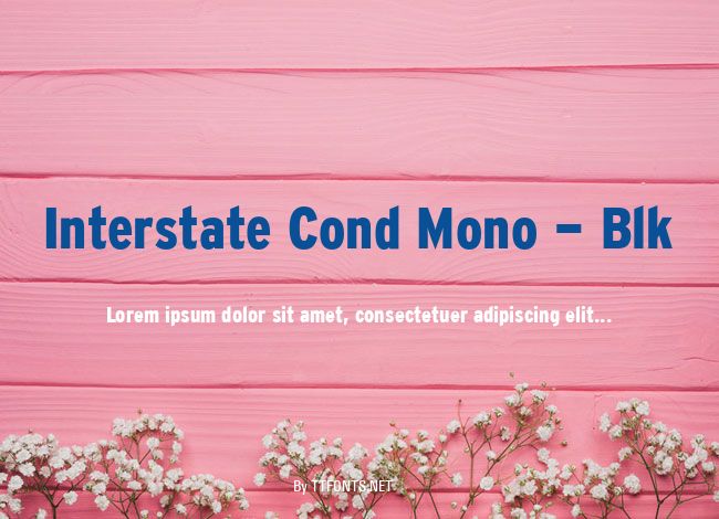 Interstate Cond Mono - Blk example