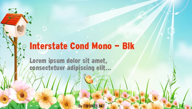Interstate Cond Mono - Blk example
