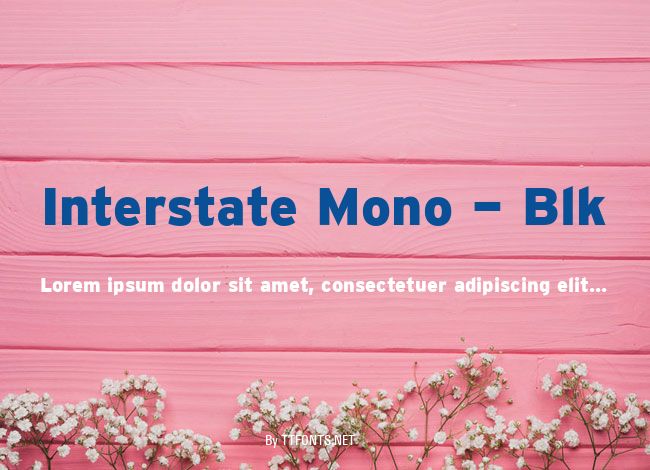 Interstate Mono - Blk example