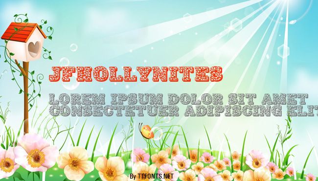 JFHollyNites example
