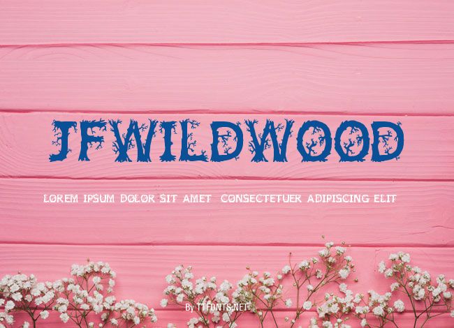 JFWildWood example