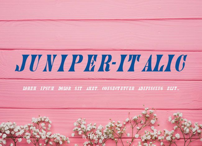 Juniper-Italic example