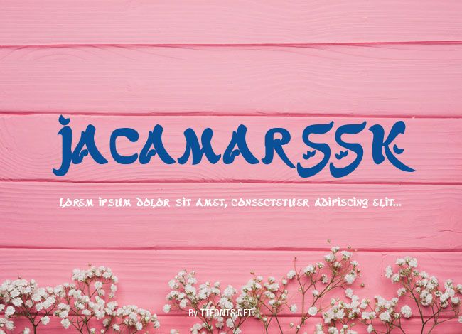 JacamarSSK example