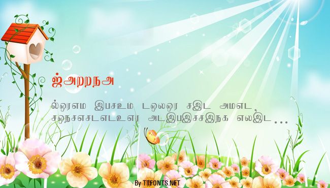 Jaffna example