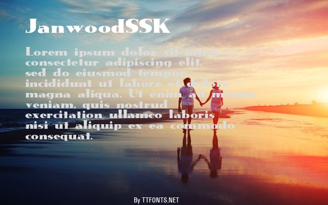 JanwoodSSK example