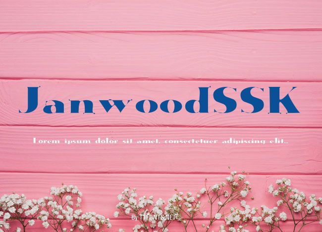 JanwoodSSK example