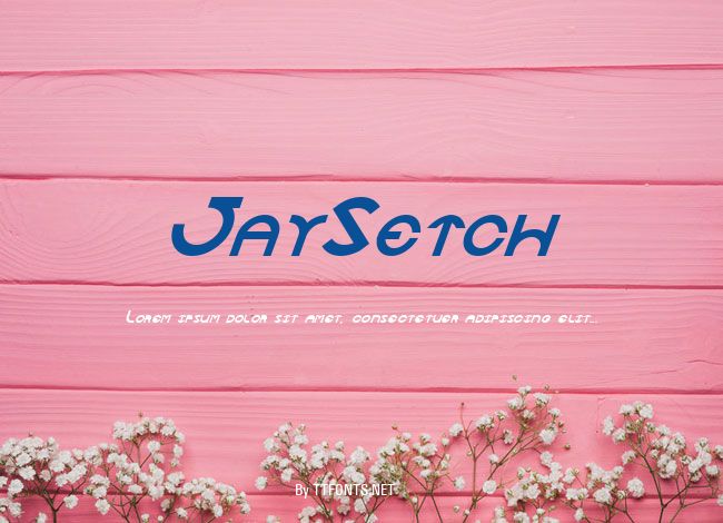 JaySetch example