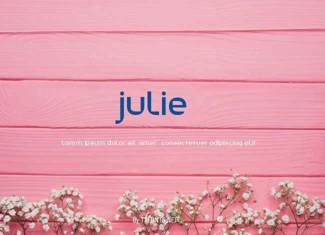 Julie01 example