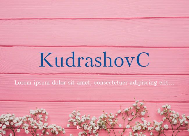 KudrashovC example