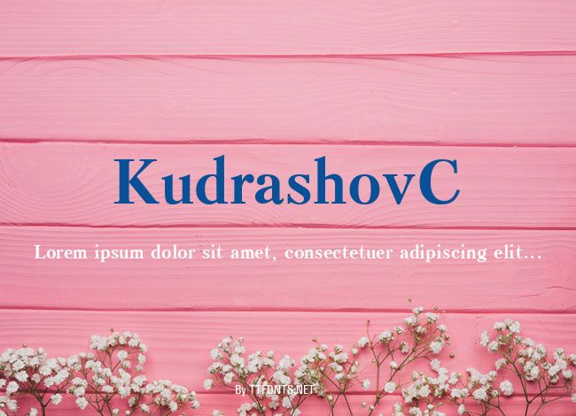 KudrashovC example