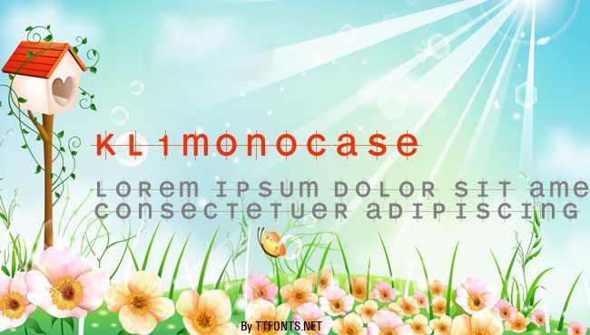 KL1MonoCase example