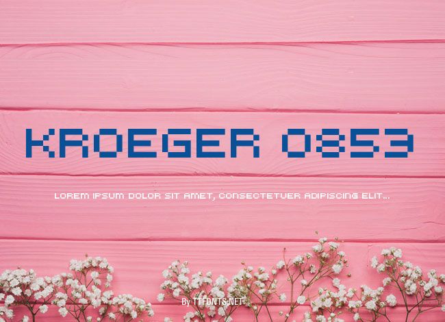 kroeger 0853 example