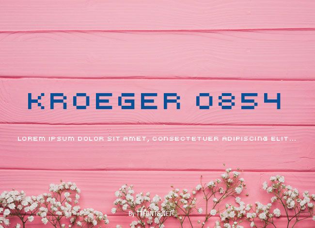 kroeger 0854 example
