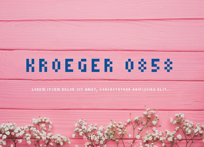 kroeger 0858 example