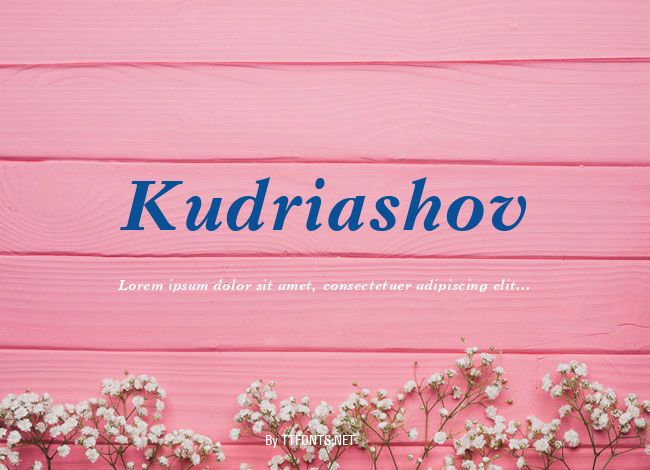 Kudriashov example
