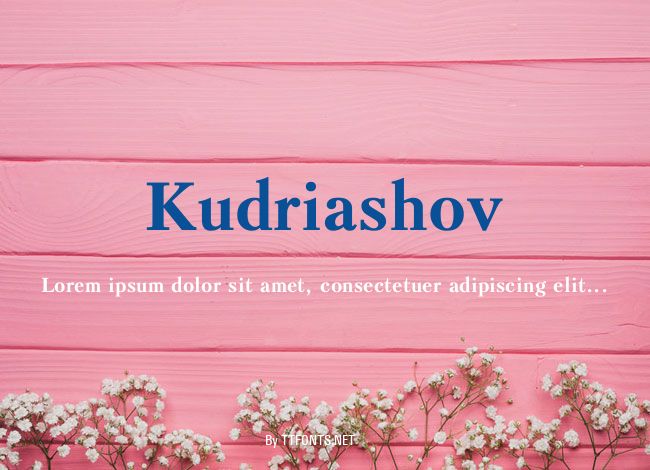 Kudriashov example
