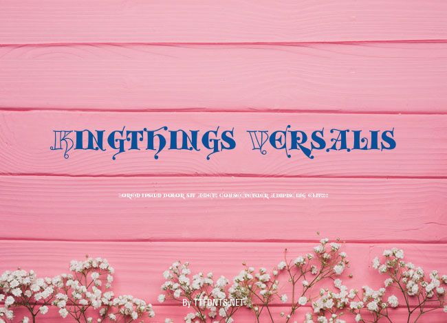 Kingthings Versalis example