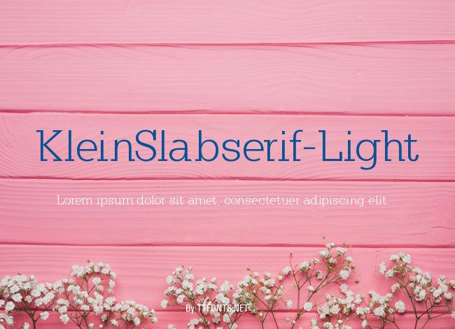 KleinSlabserif-Light example