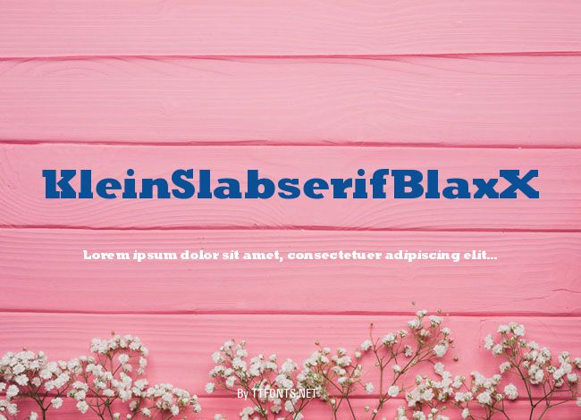KleinSlabserifBlaxX example