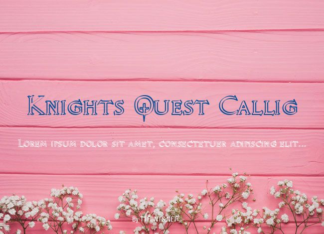 Knights Quest Callig example