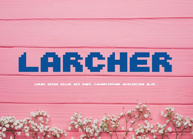 Larcher example