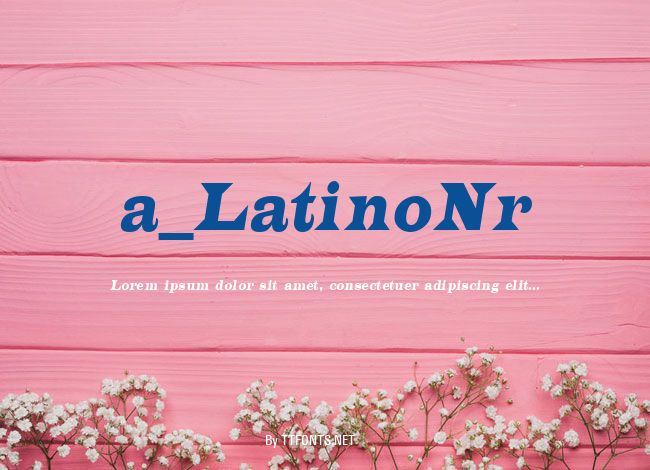 a_LatinoNr example