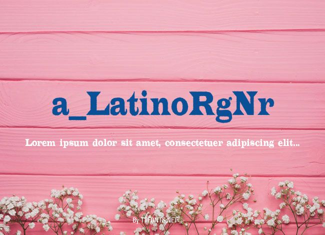 a_LatinoRgNr example